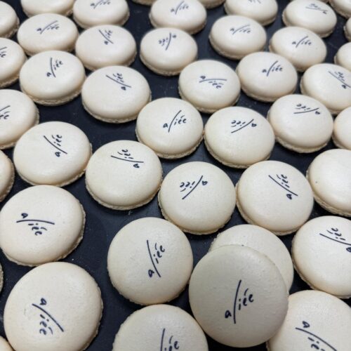 WhatsApp Image 2026-04-16 at 09.15.09 (1)