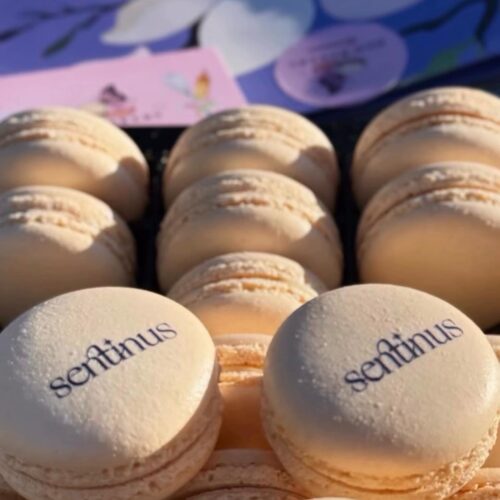 WhatsApp Image 2026-04-16 at 09.15.09 (5)