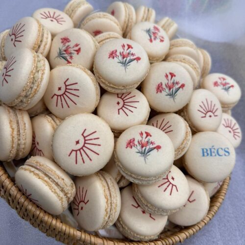 WhatsApp Image 2026-04-16 at 09.22.00